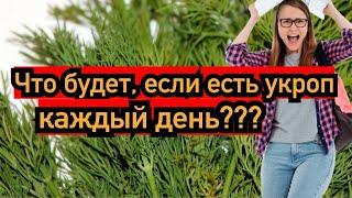 Что случится, если есть укроп каждый день