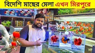 Aquarium Price In Bangladesh Aquarium Fish Price In BD  Aquarium Fish Price In Mirpur 2024