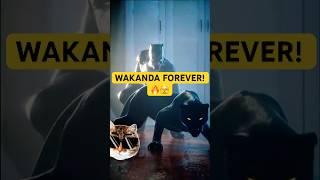 Black Panther Transition: Wakanda Forever - Mr.DragonLe #shorts #wakandaforever