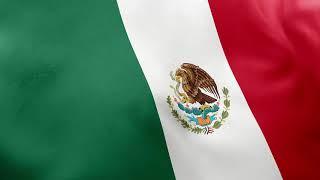 4k Mexico Flag, FREE 4k Stock Footage - Realistic Mexican Flag Wave Animation, video background loop