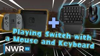 Playing Switch Games with a Mouse and Keyboard! GameSir VX AimSwitch Review