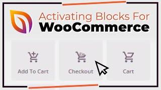 How To Activate WooCommerce Blocks In SeedProd