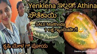 Yenklena ಇಲ್ಲಾಡ್ ಸೌತೆಕಾಯಿ athnd ||sale malthnda 1ಲಕ್ಷ ತಿಕ್ಕುಂಡು ಗೆ || ಕೃಷಿ ಮೇಳ ಗೆ ಪೋಯೆ ||tuluvlog