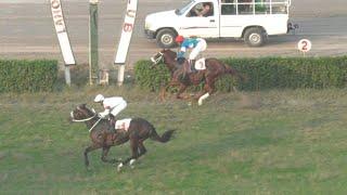 6th Race The Conflict Plate Distance 1000 Meters Winner Desert Crown ( Pakistan Horse Racing )