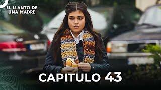 El Llanto De Una Madre | Capitulo 43 Completo