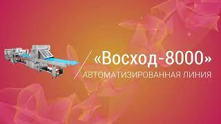 Изготовление изделий «Самса» на автоматизированная линии «Восход СН 8000»