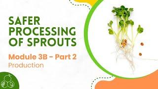 Sprouts: Module 3B Sprout Production | Part 2