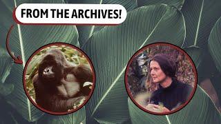 The Mountain Gorilla | Dian Fossey