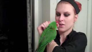 BIRDIE SHORE: I think my parrot is a guido