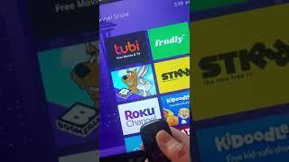 Roku developer options