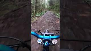 12kw rip around the woods on the modded Surron #surron #electricbike #talaria #emoto