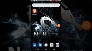 NetHunter - KeX Manager - Nexus 6P