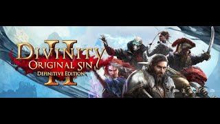 Divinity: Original Sin 2 - прохождение серия 7