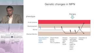 Why MPN transforms to AML