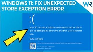 How to fix Unexpected Store Exception error in Windows 11