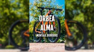 Orbea Alma Montaje Buhobike. Bicicleta de montaña