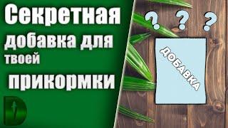 Секрет удачной РЫБАЛКИ! Добавка для прикормки! Рыба дуреет ! Активатор клёва в домащних условиях!