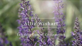 Cultivate Compassion: An Introduction to Compassion | Alfie Wishart