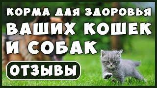 Лучший КОРМ для Кошек и Собак. Корм для Здоровья! Излечение питанием! Интервью и отзывы !!!