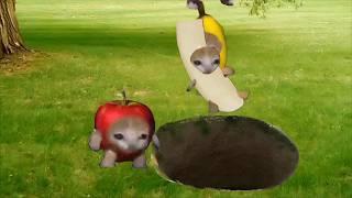 Baby Banana Cat Cry and Happy Videos Episode 33 