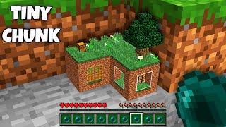 What's INSIDE the TINY CHUNK in Minecraft ? I found a HOUSE in THE CHUNK !