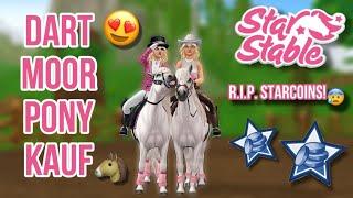 PFERDEKAUF CHALLENGE mit BESTRAFUNG! ft. Lemurinselzockt // Star Stable Online