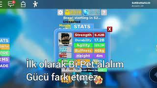 Roblox Muscle legends Pet Bugu nasıl yapılır? (SoNDeStaN220) 6B Strength 