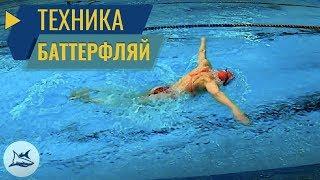 Баттерфляй. Разбор техники плавания. Сравнение с Олимпийской Чемпионкой