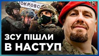 У РОСІЯН ПАНІКА. ЗСУ наступають по БАГАТЬОХ ДІЛЯНКАМ. ТИМОЧКО розповів про СИТУАЦІЮ на фронті