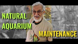 Natural Aquarium Maintenance #dirtytanks