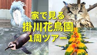 【鳥好き必見！】掛川花鳥園をぐるっと1周ツアーへご招待【見どころ満載】