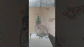 Seet Home Use Jhoola Swing