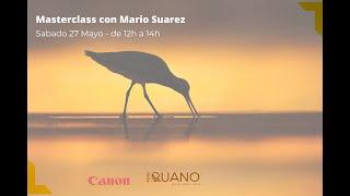 Masterclass con Mario Suarez. Inspirado por las aves