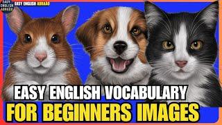 Best Method to Learn English Vocabulary Pictures and Words   Easy English Abraão