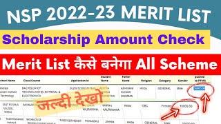 NSP 2022-23 Merit List Scholarship Amount Check kaise kare | nsp merit list 2022-23 | All Scheme ||