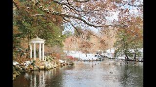 History, Highlights and Hidden Features of the Morris Arboretum