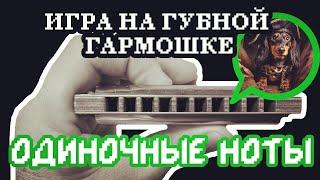 @Harpe..r Как попадать в одно отверстие на гармошке | How to play single notes on harmonica(ENG sub)