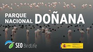 Parque Nacional de Doñana (marisma), Andalucía; España