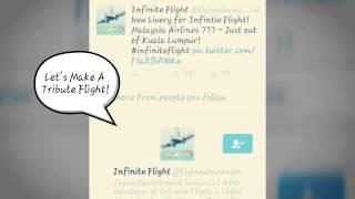 Video Dedicated To Infinite Flight Developers(FDS)