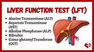 Liver Function Tests (LFTs) |  liver function test interpretation | Animation | Multi-Languages |