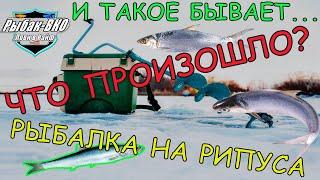 И ТАКОЕ БЫВАЕТ... ЧТО   ПРОИЗОШЛО ??? РЫБАЛКА  НА  РИПУСА.