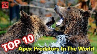 Top 10 Apex Predators In The World | Top Secrets | Top News | Apex Predators | TOP 10 | Secrets