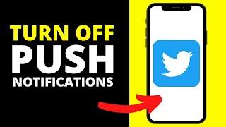 How To TURN OFF/ON Push Notifications On Twitter App