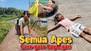 KEJAR LAYANG-LAYANG JADI APES | DRAMA MARSYA