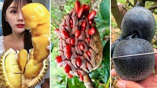 10 Most RARE and AMAZING Exotic Fruits in the World - Part 1