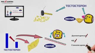 Как связаны тестостерон и ожирение? Разговор с эндокринологом Ю.Тишовой. Часть 5.