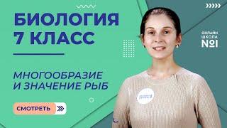 Многообразие и значение рыб. Урок 21. Биология 7 класс