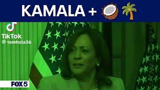 What's up with Kamala Harris and the coconut tree memes?