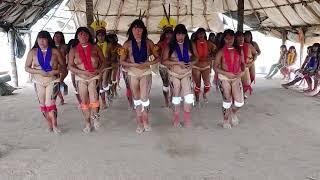 Indígena Do Xingu