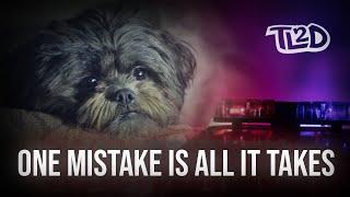 One Mistake Is All It Takes PSA | TL2D